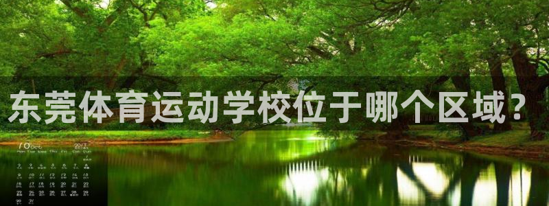 vsport体育：东莞体育运动学校位于哪个区域？