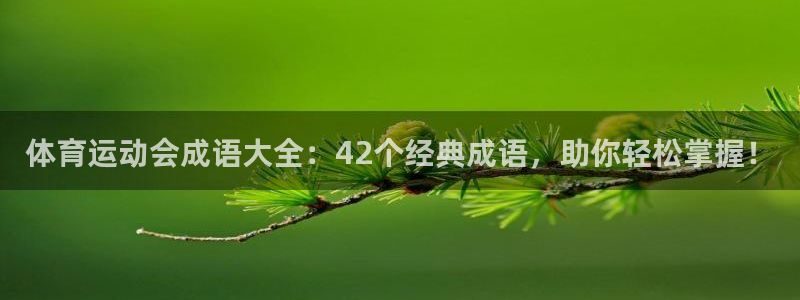 vsport体育：体育运动会成语大全：42个经典成语，助你轻松掌握！