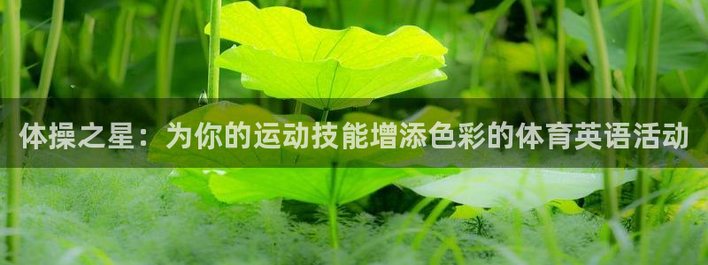 vsport体育在线官网：体操之星：为你的运动技能增添色彩的体育英语活动