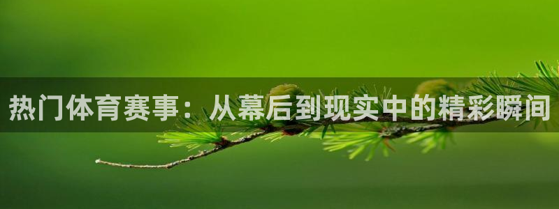 vsport体育在线官网：热门体育赛事：从幕后到现实中的精彩瞬间