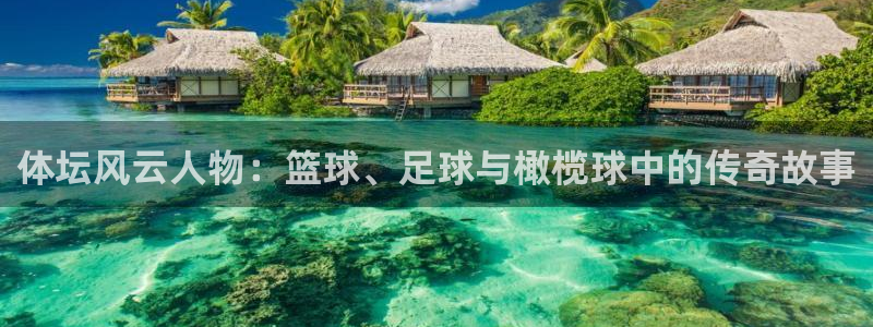 vsport体育在线官网：体坛风云人物：篮球、足球与橄榄球中的传奇故事
