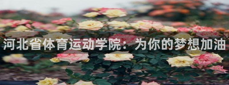 vsport体育：河北省体育运动学院：为你的梦想加油